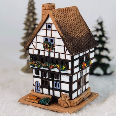 A503 House with cat